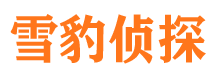 乃东捉小三公司